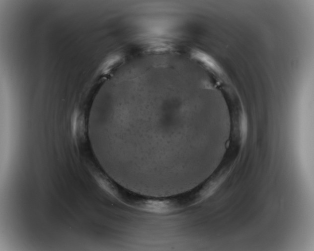 X0000085300457200703091436