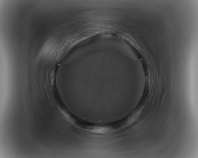 X0000085300458200703091436