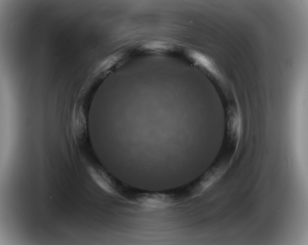 X0000085300459200703091436