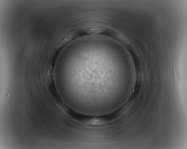 X0000085300460200703091436