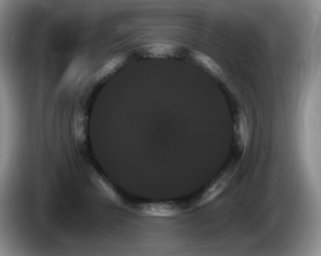 X0000085300462200703091436