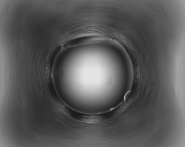 X0000085300463200703091436