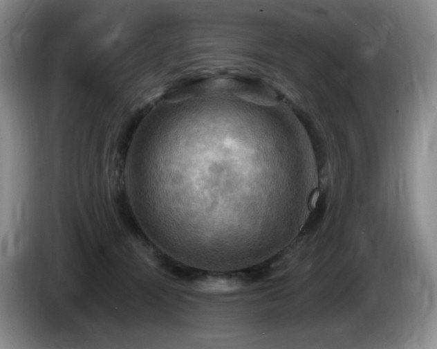 X0000085300464200703091436