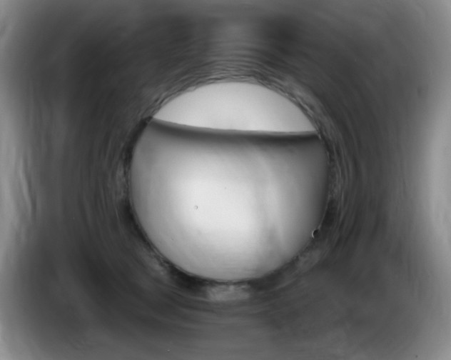 X0000085300465200703091436