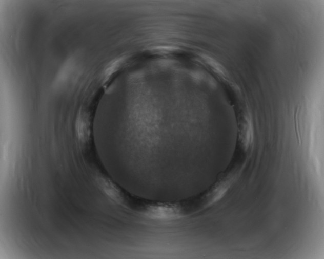 X0000085300466200703091436