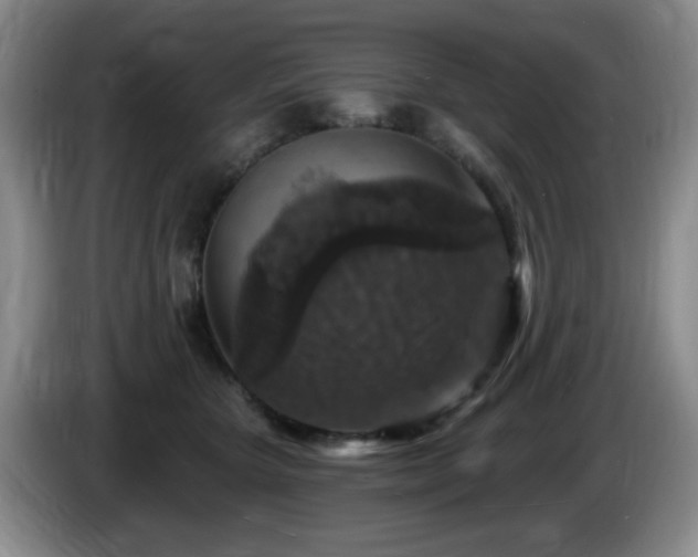 X0000085300467200703091436