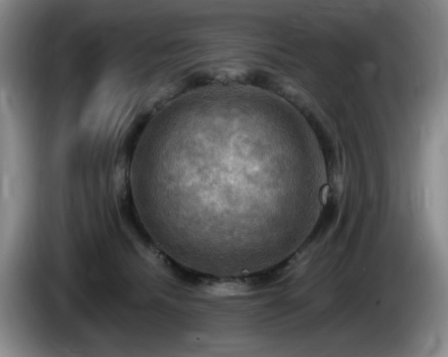 X0000085300468200703091436