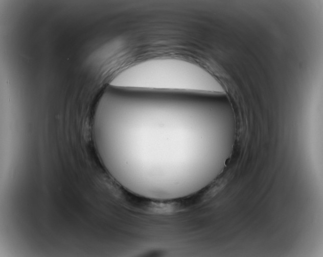 X0000085300469200703091436