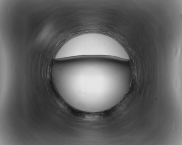 X0000085300470200703091436