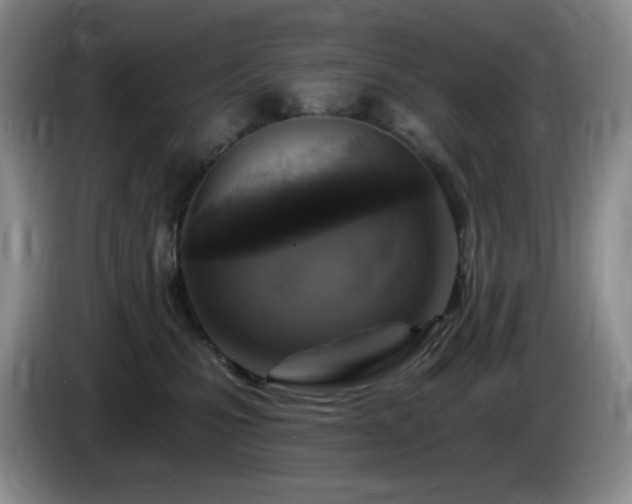 X0000085300471200703091436