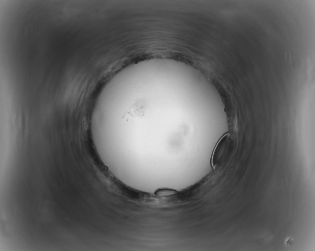 X0000085300472200703091436