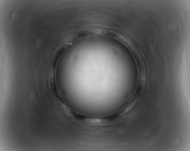 X0000085300473200703091436