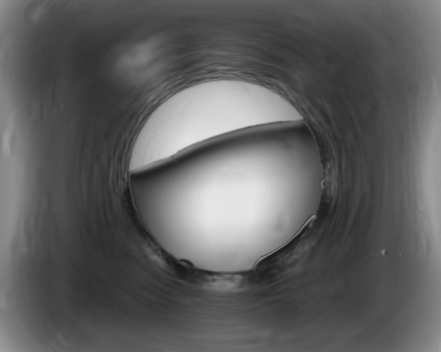 X0000085300474200703091436