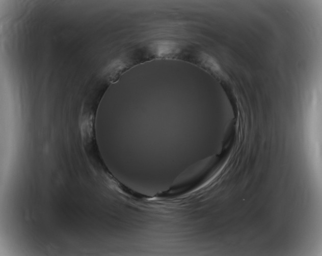 X0000085300475200703091436