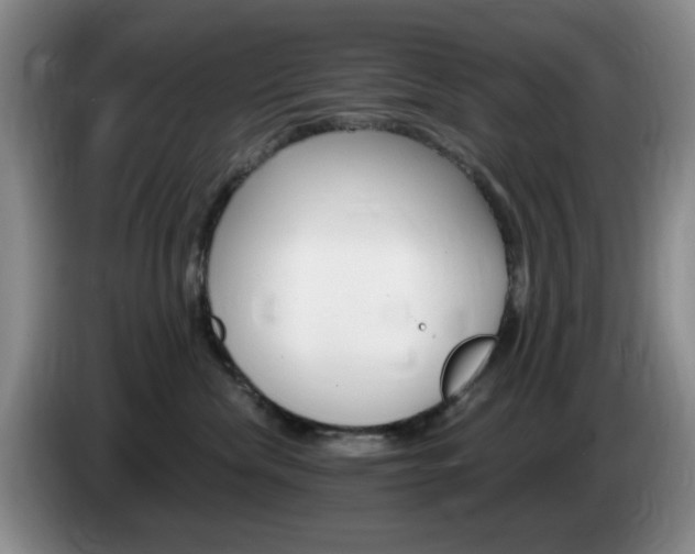 X0000085300476200703091436