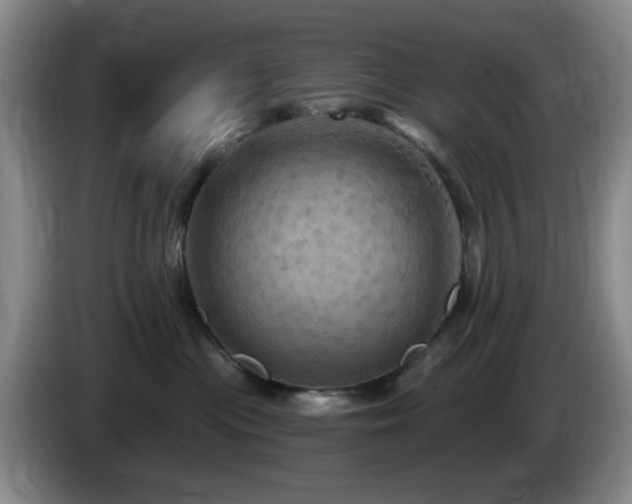 X0000085300477200703091436