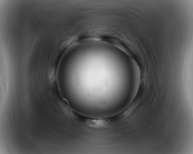 X0000085300478200703091436