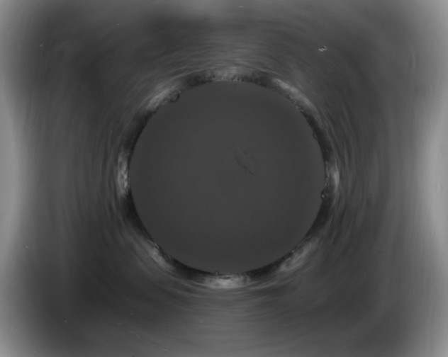 X0000085300479200703091436