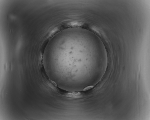 X0000085300480200703091436