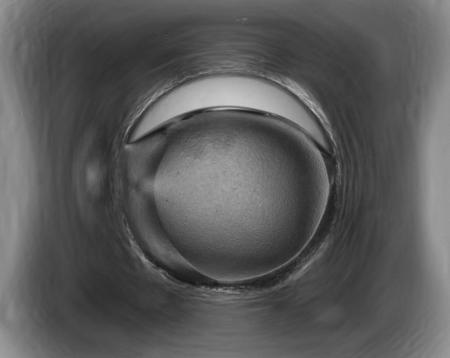 X0000085300481200703091435