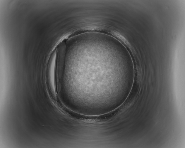 X0000085300482200703091435