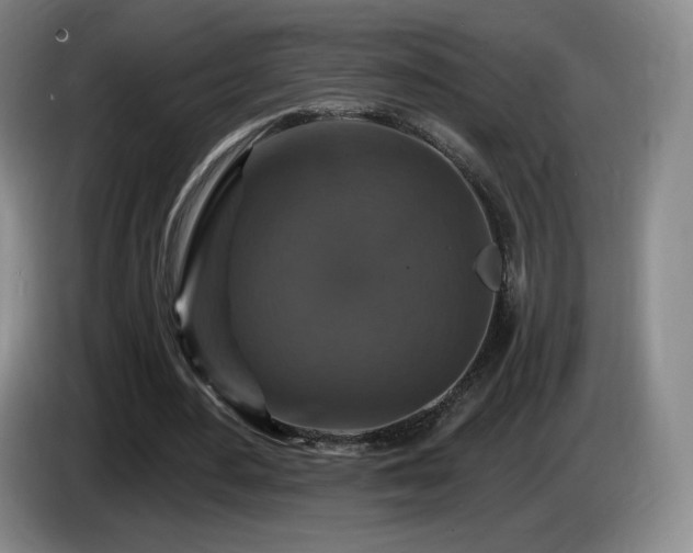 X0000085300484200703091435