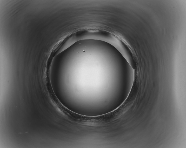 X0000085300485200703091435