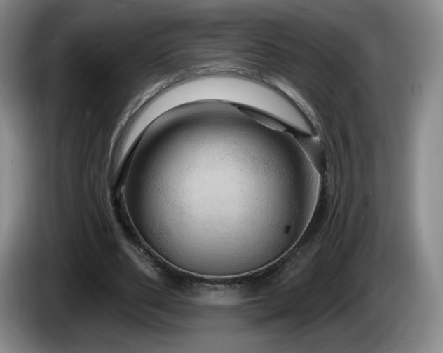 X0000085300486200703091435