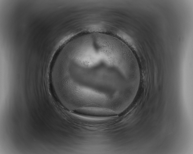 X0000085300487200703091435