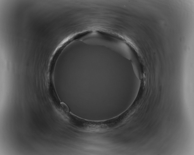 X0000085300488200703091435