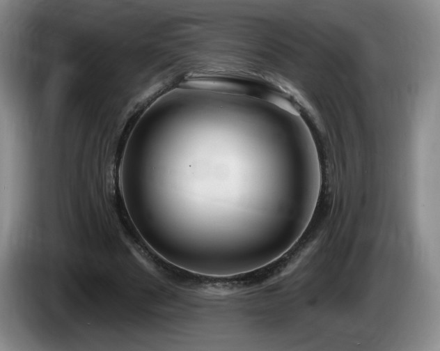 X0000085300489200703091435