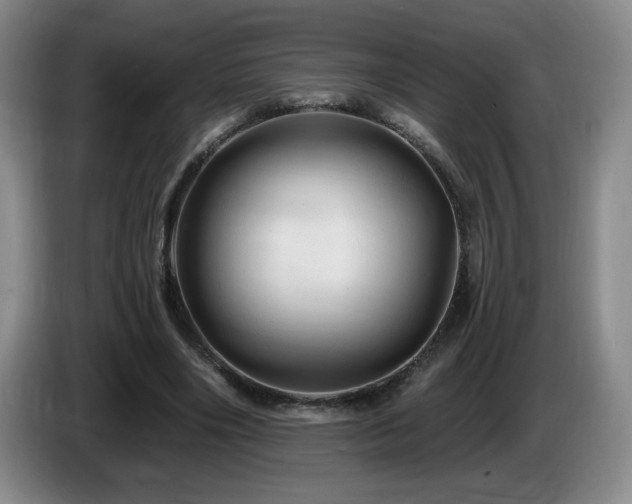 X0000085300490200703091435