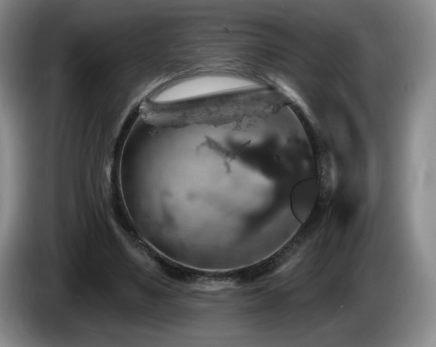 X0000085300491200703091435