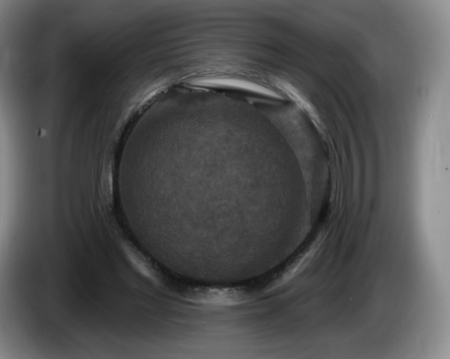 X0000085300493200703091435