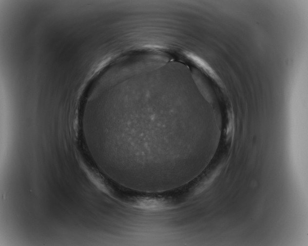 X0000085300494200703091435