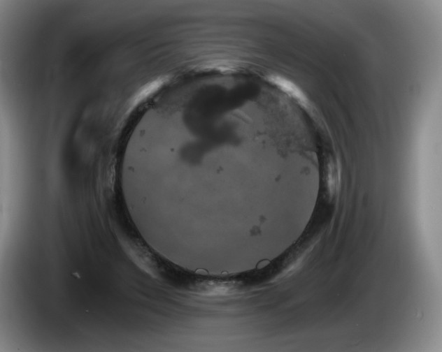 X0000085300495200703091435