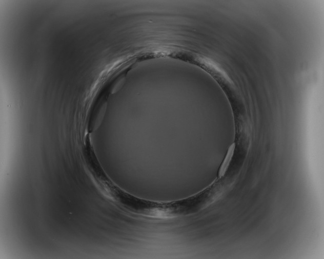 X0000085300496200703091435