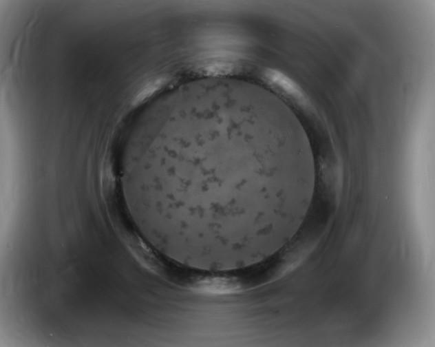 X0000085300499200703091435