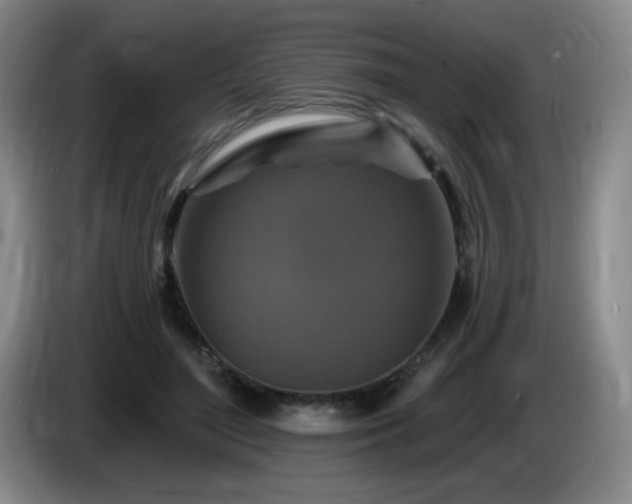 X0000085300500200703091435