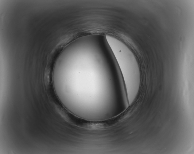 X0000085300501200703091435