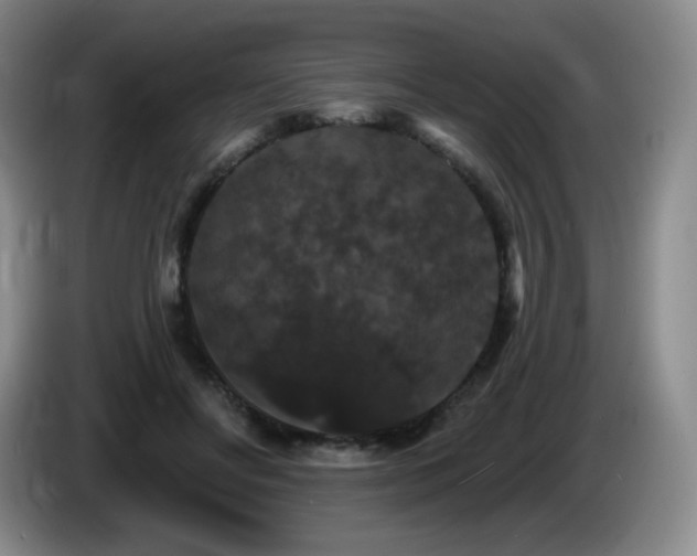 X0000085300502200703091435