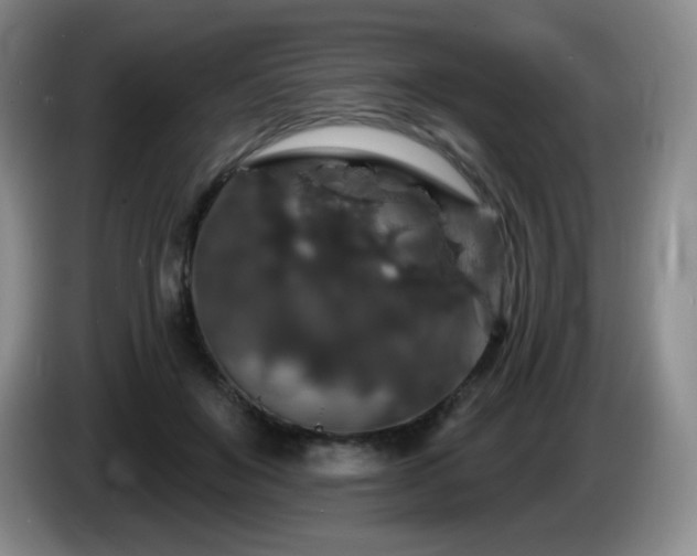 X0000085300503200703091435