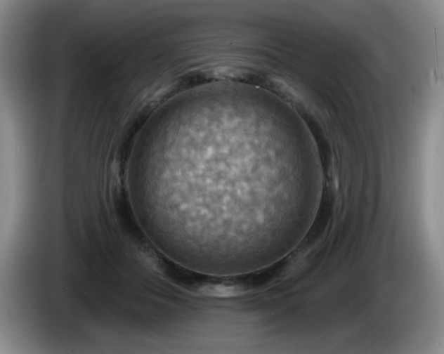 X0000085300506200703091435