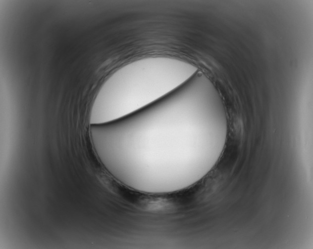 X0000085300507200703091435