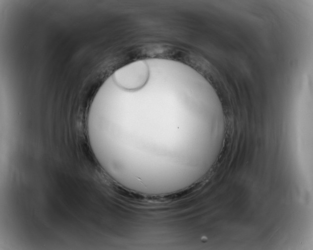 X0000085300510200703091435