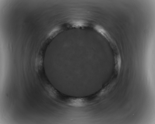 X0000085300513200703091435