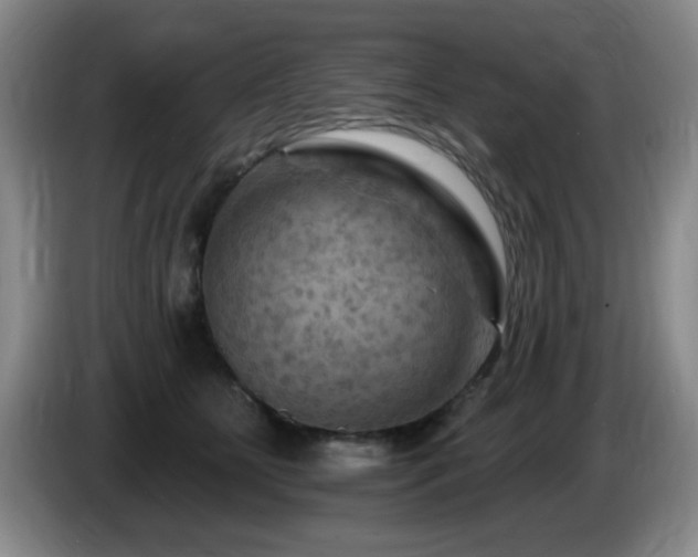 X0000085300515200703091435