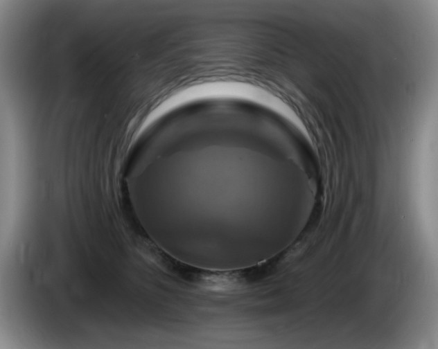 X0000085300516200703091435