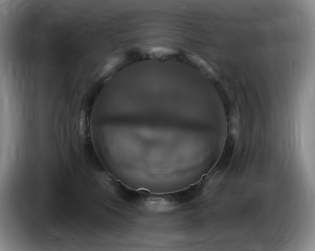 X0000085300519200703091435