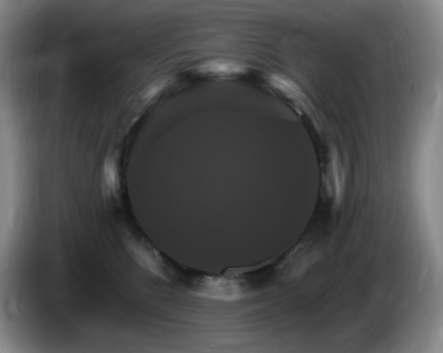 X0000085300520200703091435